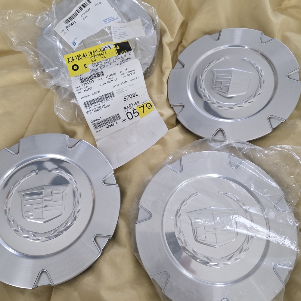 Silver Wheel Center Caps